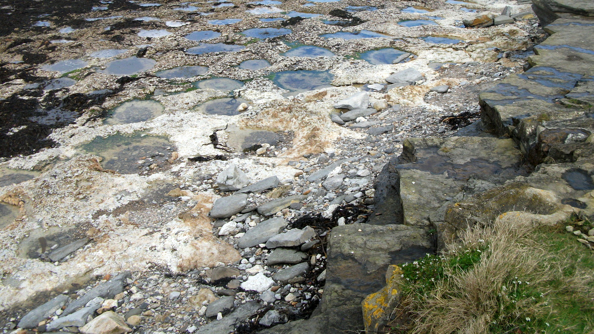 Dunbar to Barns Ness, East Lothian
